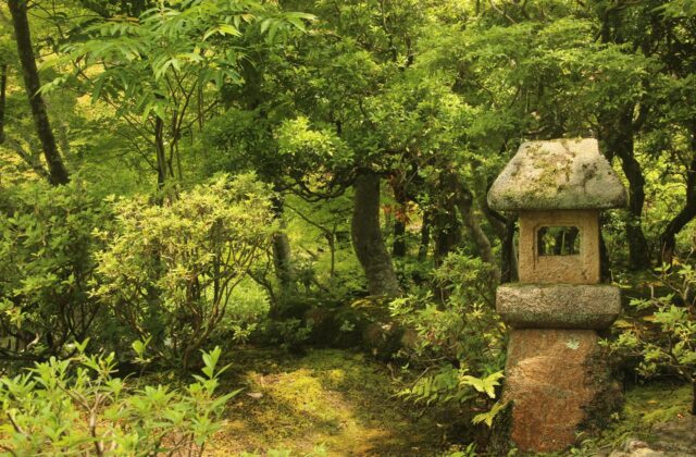 親の介護と相続トラブルを防ぐ「家族会議」の切り出し方と財産整理のポイント